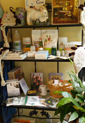 Black shelving unit at a boutique store full of books, white candles, and other products.