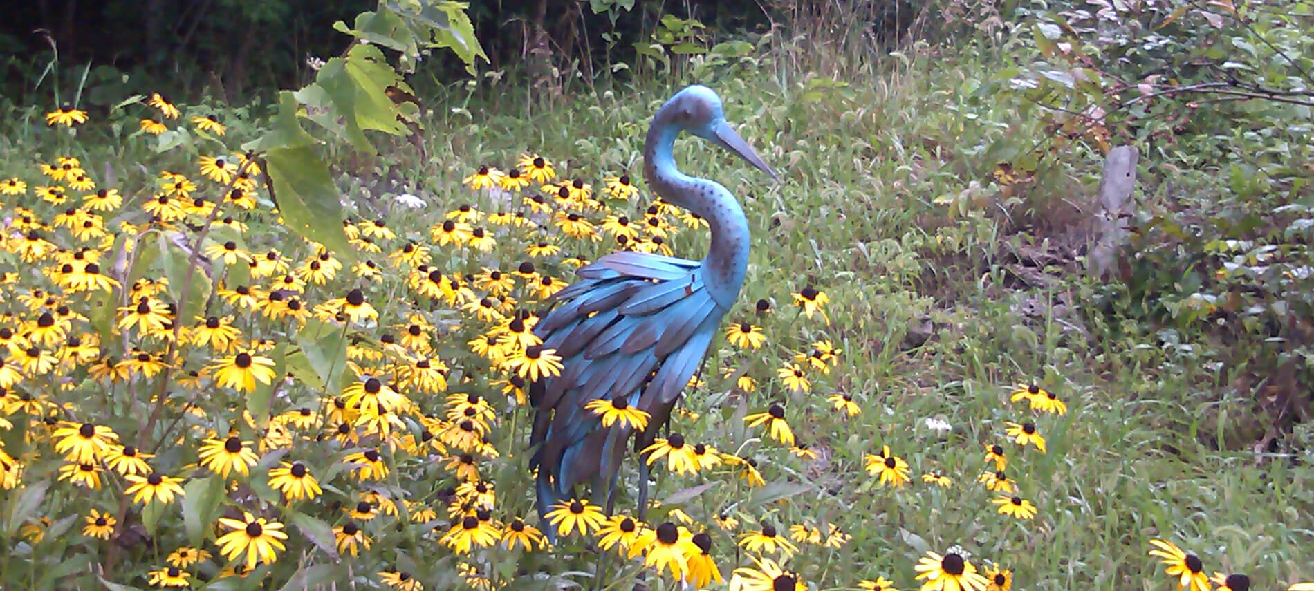 A beautiful statue of a blue heron bird standing in a meadow of yellow daisies.