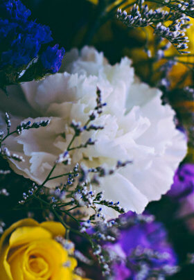 Beautiful white, yellow and purple flowers clustered together in a vase.